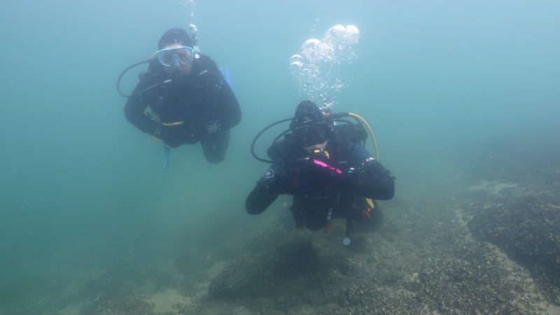 SN – Club Subaquatique d’Onex – Sous l’eau à 2 [EN]