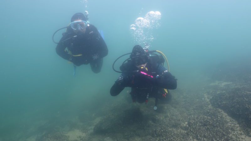 SN – Club Subaquatique d’Onex – Sous l’eau à 2 [DE]