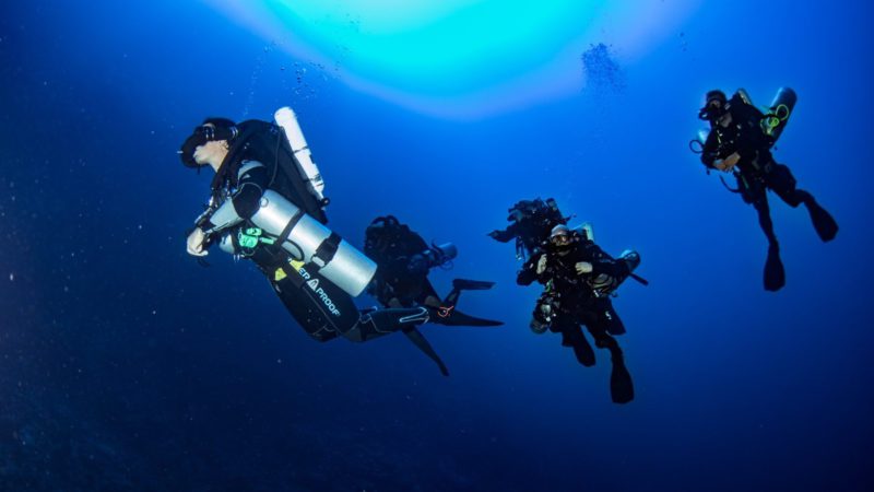 Seit mehr als 20 Jahren trainiert und bringt der Tauchclub Vernier (CSV) Taucher mit dem Ziel zusammen, das Tauchen in einer sicheren Struktur zu fördern. Der Club besteht aus mehr als 200 Mitglieder und bieten ihnen verschiedene Möglichkeiten an wie die Infrastrukturen (Schwimmbad, Pressluft Füllstation, Clublokal), die Verfügung von Tauchausrüstungen und regelmäßig organisierte Tauchausflüge und Bootausfahrten mit dem Tauchboot.

Ausbildungsmöglichkeiten und Weiterbildungen durch unsere Instruktoren bietet die Tauchschule vom Club seinen Mitgliedern in allen Bereichen an, von Anfängern zu Divemaster und Tauchlehrern, sowie Sport- und Technische Taucherinnen und Taucher.

Er hat sich nach und nach von einem PADI-Zentrum zu einem IDC 5 * PADI-Zentrum entwickelt und kann somit seit mehr als 5 Jahren eine professionelle Ausbildung anbieten.

Du möchtest tauchen lernen, weiter trainieren oder einfach nur Tauchpaare finden ? Der CSV kann zweifellos auf Ihre Anfragen eingehen !