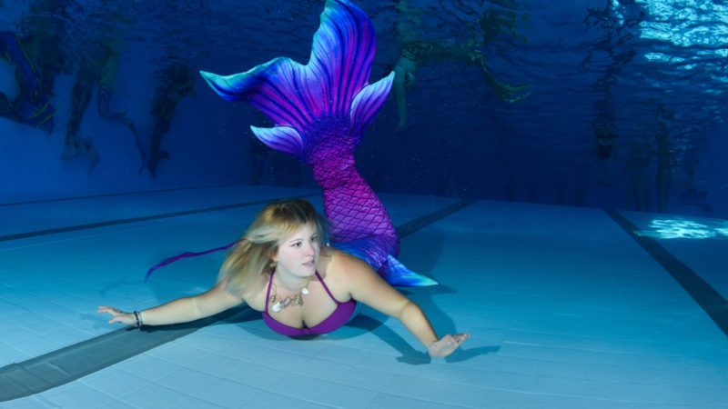 Die Geneva mermaids sind eine Geschichte der Leidenschaft, der Freundschaft mit einem Hauch von Magie, die das alles zum Laufen bringt. Anfangs trafen sich 5 Freundinnen um die Leidenschaft des Mermaiding, einige waren bereits Lehrerinnen und nahmen die anderen mit in diese von Meerjungfrauen bevölkerte Wasserwelt. Aus dieser gemeinsamen Leidenschaft ist der Wunsch entstanden, zusammenzuarbeiten, sich zu versammeln und gemeinsam zu handeln, um diesen Sport zu fördern, der uns antreibt! Wir haben daher zusammengearbeitet, um diesen Verein zu gründen, um es uns zu ermöglichen, allen die Möglichkeit zu geben, sich zu beteiligen und unser Universum zu integrieren. Wir möchten jedem die Möglichkeit bieten, seine Träume zu leben, eine inklusive Aktivität auszuüben, die es ermöglicht, auf spielerische Weise Sport zu treiben und für manche wieder in die Kindheit zu fallen...